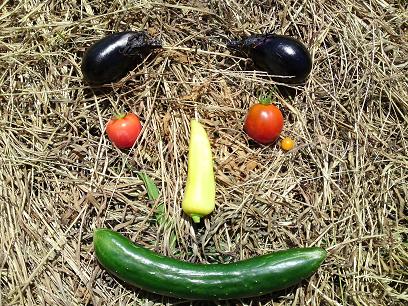 2011年8月8日採れた野菜の顔