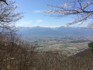 まだまだ桜見られます　安曇野の光城山　玉之湯から３０分