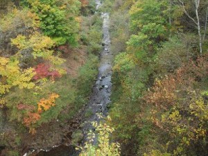 信州松本浅間温泉　ホテル玉の湯（玉之湯） 紅葉情報　巣栗渓谷　-隠れた紅葉の名所-　