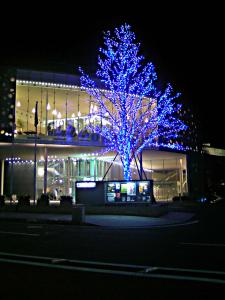 松本浅間温泉　信州そばの宿ホテル玉の湯（玉之湯）　まつもと市民芸術館のライトアップツリー
