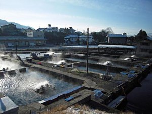 松本浅間温泉　信州そばの宿ホテル玉の湯（玉之湯）安曇野の犀川畔にあるニジマスの養殖場