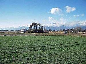 松本浅間温泉　信州そばの宿ホテル玉の湯（玉之湯）　安曇野の屋敷林