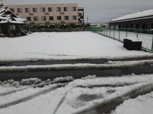 まさかの雪