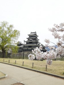 春の松本城