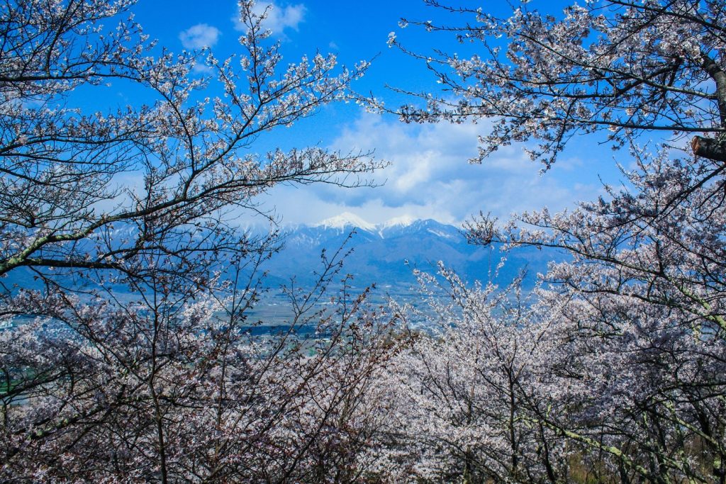 春の窓ごしに望む、残雪の常念岳