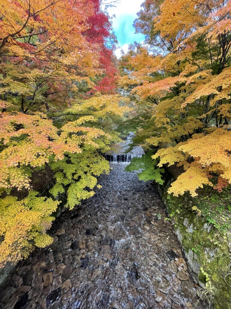 松本牛伏寺の紅葉