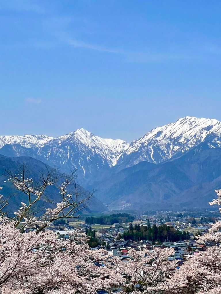 残雪の北アルプスが美しい季節