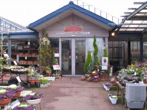 長野県バリアフリーの世界松本浅間温泉　ホテル玉の湯（玉之湯） HAMAフラワーパーク安曇野なら冬でも花が楽しめます