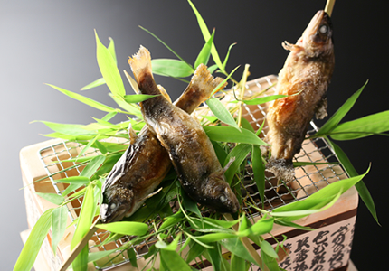 活岩魚炭火焼