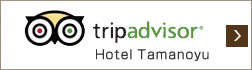 tripadvisor