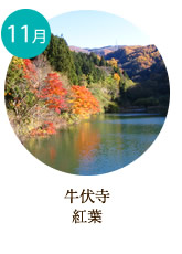 11月　牛伏寺　紅葉