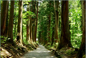 戸隠神社