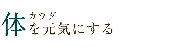 体を元気にする