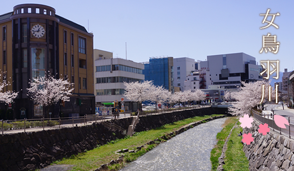 女鳥羽川